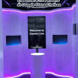 Google Gemini Experience